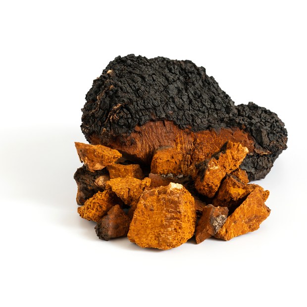 Chaga