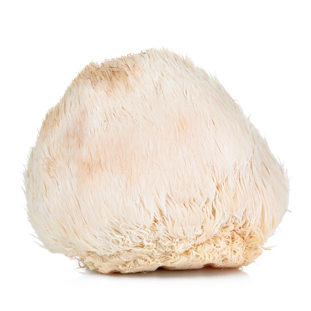 Lion's Mane